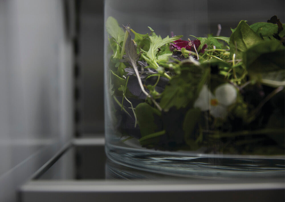 Fisher & Paykel RS6019S3RH1 60 cm serie 9 integreret 3-zone køleskab