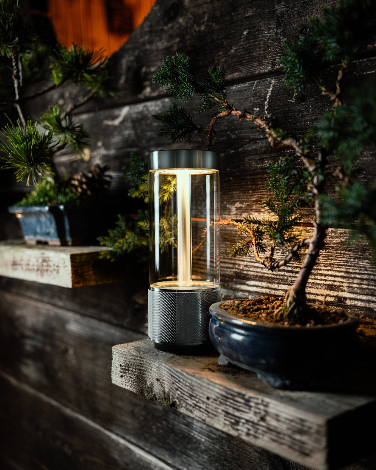 Modern Buster &amp; Punch Takeout lamp in Brass a wooden shelf with plants in the background
