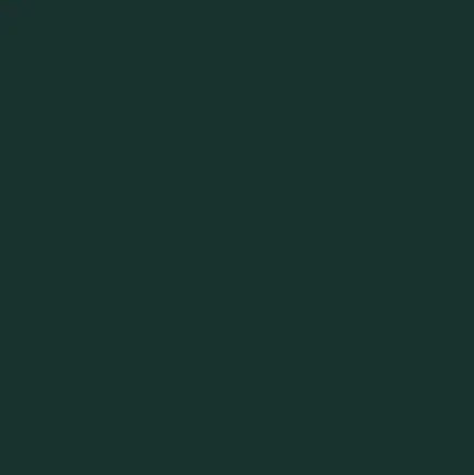 Scrambler Green