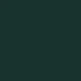 Scrambler Green