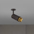 Buster + Punch Exhaust Spot / Linear / Graphite / Brass