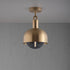Buster + Punch Forked Ceiling / Linear / Shade / Globe / Smoked / Medium / Brass